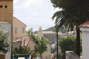 a city street with buildings and palm trees at Grande maison au cadre verdoyant au centre village in Cargèse