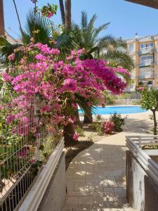 un ramo de flores rosas en una valla cerca de una piscina en Aurelia Salou, en Salou