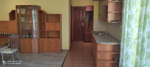 Kuchyňa alebo kuchynka v ubytovaní Janó Apartman