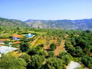 an aerial view of a farm with trees at Casa Serrana in Santa Cruz de Moya