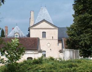 Gallery image of Chateau De Charge in Razines