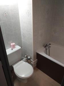 a bathroom with a toilet and a bath tub at La Voile - Pendine 2 - Puy Saint Vincent - Hautes Alpes in Puy-Saint-Vincent