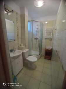 a bathroom with a toilet and a shower and a sink at Arkona in Dziwnówek