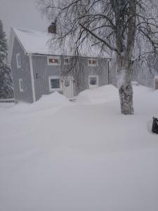 a house is covered in snow with a tree at Danny in Mellansel