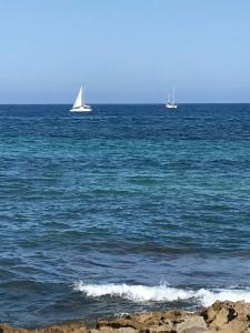 Zdjęcie z galerii obiektu Punta Prima Sol Spain w mieście Torrevieja