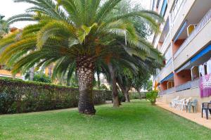 Zdjęcie z galerii obiektu Punta Prima Sol Spain w mieście Torrevieja