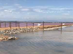 Zdjęcie z galerii obiektu Punta Prima Sol Spain w mieście Torrevieja
