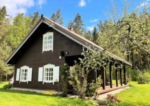 VilkariaiVidugiris Lake的绿色草坪上带白色窗户的黑色房子