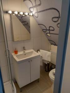 a bathroom with a sink and a mirror and a toilet at Pension Sonnenblick in Brüel