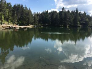Príroda v okolí apartmánu
