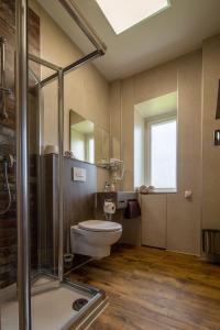 uma casa de banho com um WC e uma cabina de duche em vidro. em Alte Schlossbrauerei em Mirow