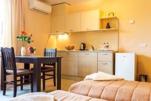 A kitchen or kitchenette at Apart Hotel Rosen