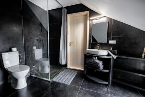 La salle de bains est pourvue d'un lavabo, de toilettes et d'un miroir. dans l'établissement Brīvdienu māja Joki, Apartamenti Nr.1, à Ģipka