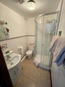 uma casa de banho com um chuveiro, um WC e um lavatório. em Plough and Harrow em Brecon