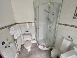 a bathroom with a shower and a toilet and a sink at Plough and Harrow in Brecon