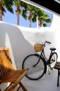 una bicicleta estacionada junto a un banco y palmeras en Casa BOHO en Alaminos