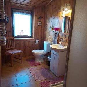 WejsunyにあるDom Gościnny Wejsuny - Mazuryのバスルーム(トイレ、洗面台付)、窓が備わります。