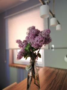 Imagen de la galería de Nest, en Belgrado