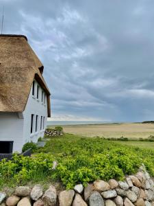 ein weißes Haus mit einem Strohdach und einem Feld in der Unterkunft Strandhus in Rantum