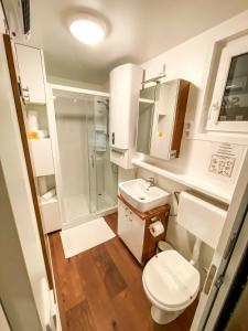 ein Bad mit einem WC, einem Waschbecken und einer Dusche in der Unterkunft Star 1 Floating House, Marina Portorož in Portorož