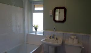 ein Badezimmer mit einem Waschbecken, einem WC und einem Spiegel in der Unterkunft Broncoedwig in Devils Bridge
