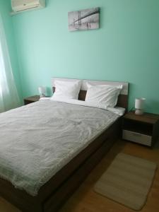 Krevet ili kreveti u jedinici u okviru objekta Апартамент за гости Соня Guest Apartment Sonya