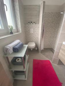 a bathroom with a toilet and a red rug at Aparthouse Alfa1 in Čatež ob Savi