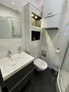 La salle de bains blanche est pourvue d'un lavabo et de toilettes. dans l'établissement Donau Apartment Vienna, à Vienne