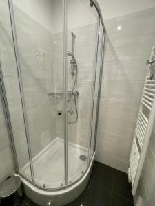 y baño con ducha y puerta de cristal. en Donau Apartment Vienna en Viena