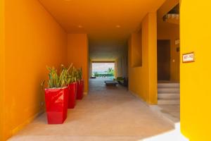 einen Flur mit orangefarbenen Wänden und einer Reihe von Topfpflanzen in der Unterkunft Isla Sunset Rentals at Sotavento in Isla Mujeres