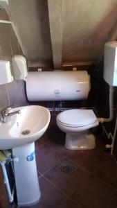 a bathroom with a toilet and a sink at Cottage Rafting Kljajevića Luka in Pljevlja