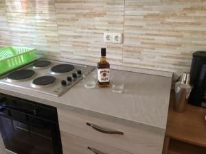 Kuchyň nebo kuchyňský kout v ubytování Apartments Ankica
