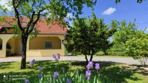 un jardín de iris púrpuras frente a un edificio en Apartment Nikolina en Grabovac