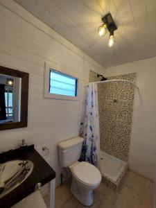 a bathroom with a toilet and a shower and a sink at Cabañas Amo Río - Delta in Tigre