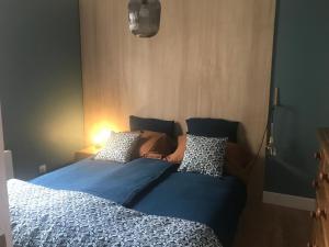 1 cama con edredón azul y almohadas en Ecolodge Appartements 2 pièces cosy gare, en Burdeos