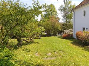 Ogród w obiekcie FAMILY APARTMENT LINZ Wohnen mit Garten am Fusse des Pöstlingbergs TOP LAGE Villenviertel