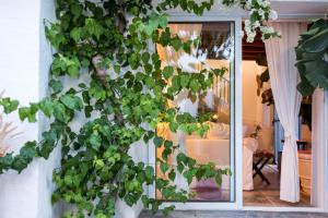 a wall covered in green ivy next to a door at Casa BOHO in Alaminos