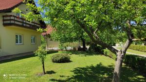 Zahrada ubytování Apartment Nikolina