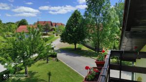 Zahrada ubytování Apartment Nikolina