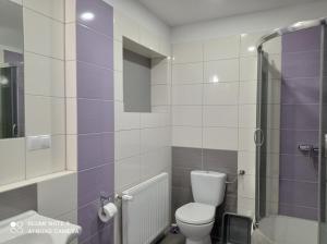 Kúpeľňa v ubytovaní Wypoczynek Pod Lasem