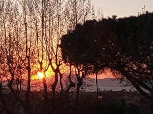 Imagen de la galería de Il Platano, en Piano di Sorrento