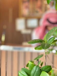 Fotografie z fotogalerie ubytování عال للوحدات السكنيه v destinaci Abhá