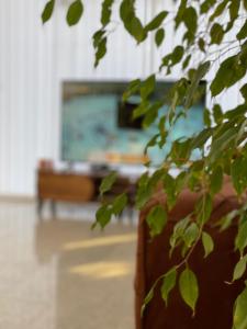 TV a/nebo společenská místnost v ubytování عال للوحدات السكنيه
