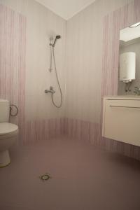 ein Bad mit einer Dusche und einem WC in der Unterkunft Guest apartments STELA in Zarewo