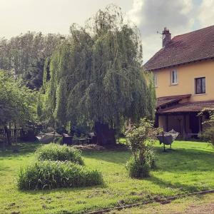 Thonville的住宿－Relais Saint Vincent，房子旁边的院子中的一棵大树