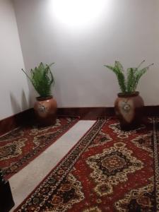 Photo de la galerie de l'établissement Kaufman, à Konopnitsa