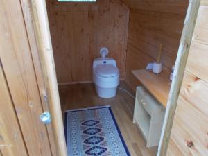 a small bathroom with a toilet in a wooden cabin at Lilla Stugan, Sjötorp in Mariestad