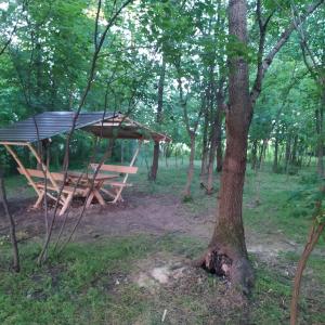 a picnic table in the middle of a forest at Apartman Bolero in Bijeljina