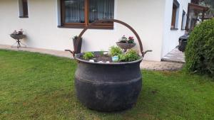 Zahrada ubytování SennHOF Lechtal