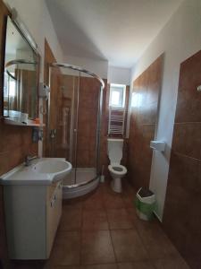 a bathroom with a sink and a toilet and a shower at Villa ANelu in Mamaia Sat/Năvodari +54 photos